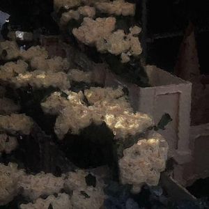 劫（吉他版）