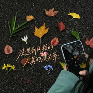 没遇到同频的人真的没关系