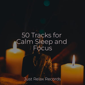 Whispers of Faerie Grove