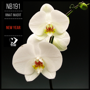 Shantaram (Original Mix)