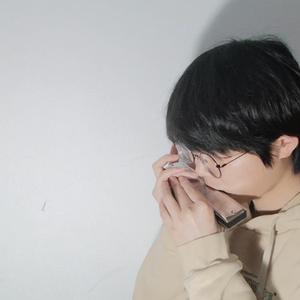 骑在银龙的背上 口琴版