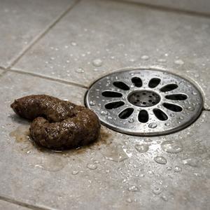 Kacken in der Dusche!