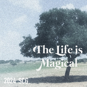 The Life Is Magical