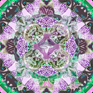 Silly Little Misty Flip