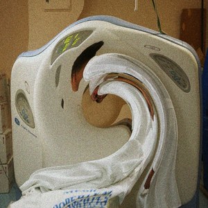 Pregustant