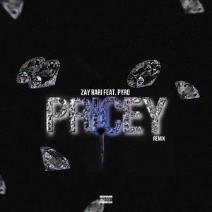 Pricey (feat. Pyro) (Remix)