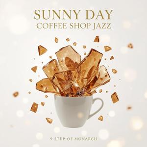 9 Step Daylight Lounge
