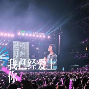 我已经爱上你 (Cover 暴躁默)