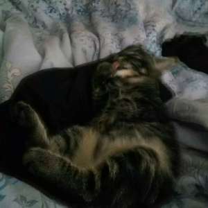 小小（你像我的童年）