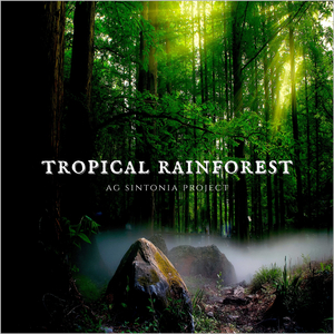 Tropical Rainforest