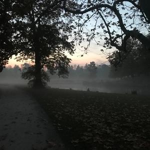 Sunrise