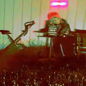 Family Reuion at Pietro's Pizza