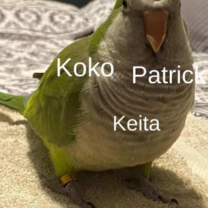 Keita