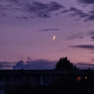 Весенняя ночь