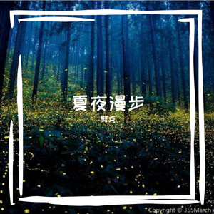 Summer Night Walking