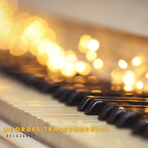 Serenidad en la Noche