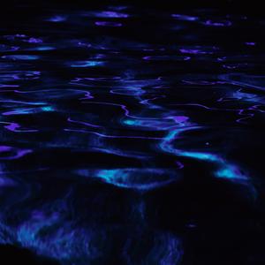 Outro (feat. Reka Fodor)