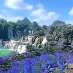 你的老怀表 (DJ版)