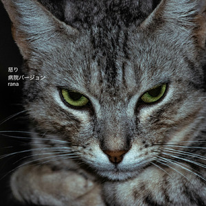 怒り (病院の待合室のようなオルゴールBGMバージョン)