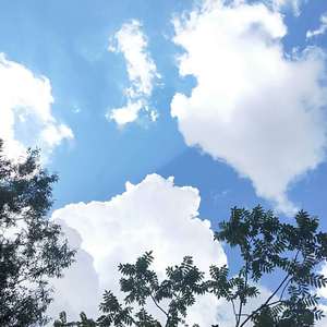 我还年轻 我还年轻