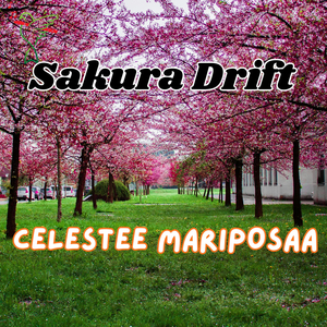 Sakura Drift