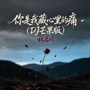 你是我藏心里的痛(DJ芒果版)