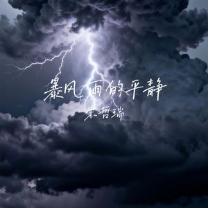 暴风雨的平静