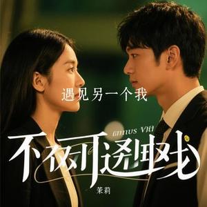 遇见另一个我