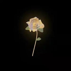 暗中花