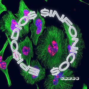 Destello (feat. Liminal)