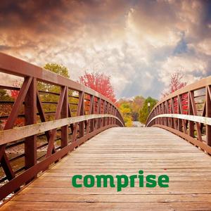 Comprise