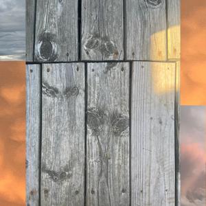 songs about sex w/ angus.