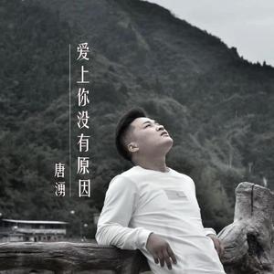 爱上你没有原因