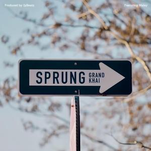 Sprung (feat. Malay)