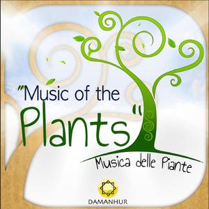 Chestnut, Birch and Musician in Concert (Castagno, Betulla E Musicista in Concerto) [feat. Cigno Banano]