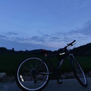 星际牛仔