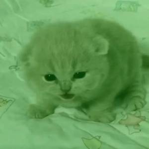 Parent Issues (Best Part Looped + Slowed)