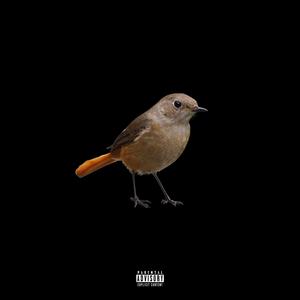 BIRD (feat. Lil Kobra)