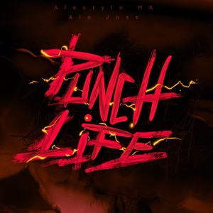 PunchLife