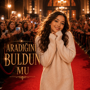 Aradığını buldun mu