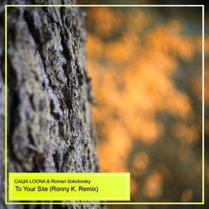 To Your Site (Ronny K. Remix)