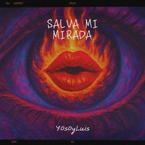 Salva mi mirada
