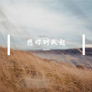 想你时风起