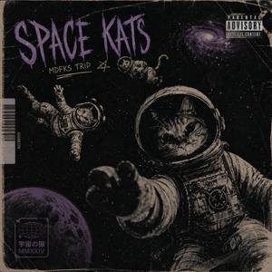 Space Kats (feat. Weedbert & Viruz)