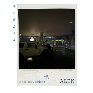 sadnovember (Alek sad november)