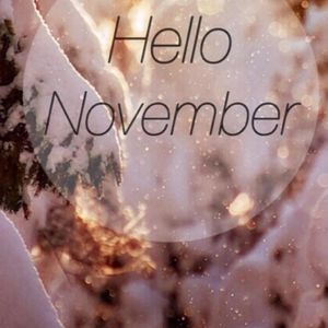 生命之花的绚烂芳华