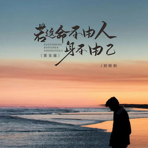 若这命不由人身不由己 (DJ豪大大版)