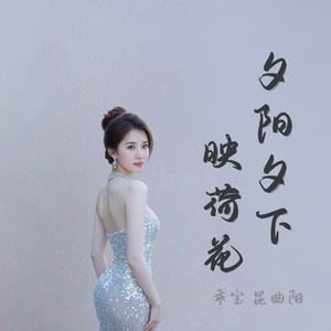 夕阳西下映荷花