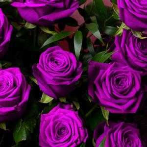 Rosae (feat. Grosz & Gionathan) (Home Edit) (Home Edit)