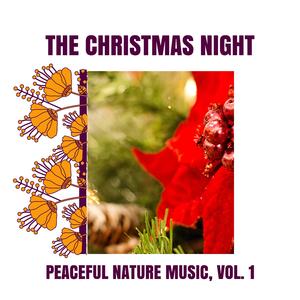 Immerse Yourself in Nature with trilling Toads